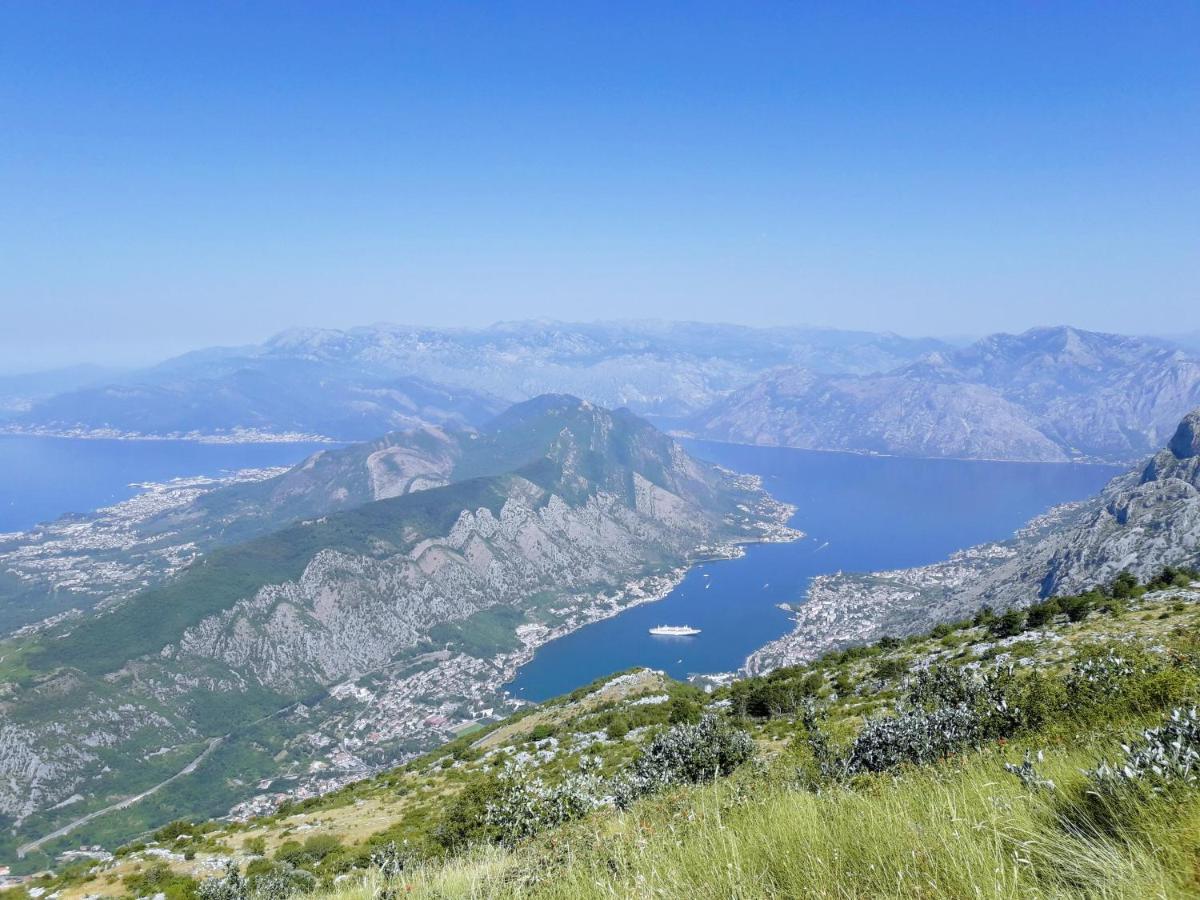 Bayview Apartments Tivat Montenegro Eksteriør billede